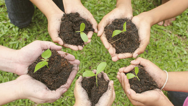 Mains solidaires soutenant de jeunes pousses